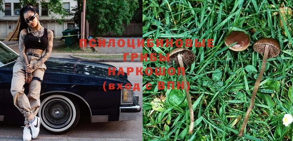 стафф Горняк